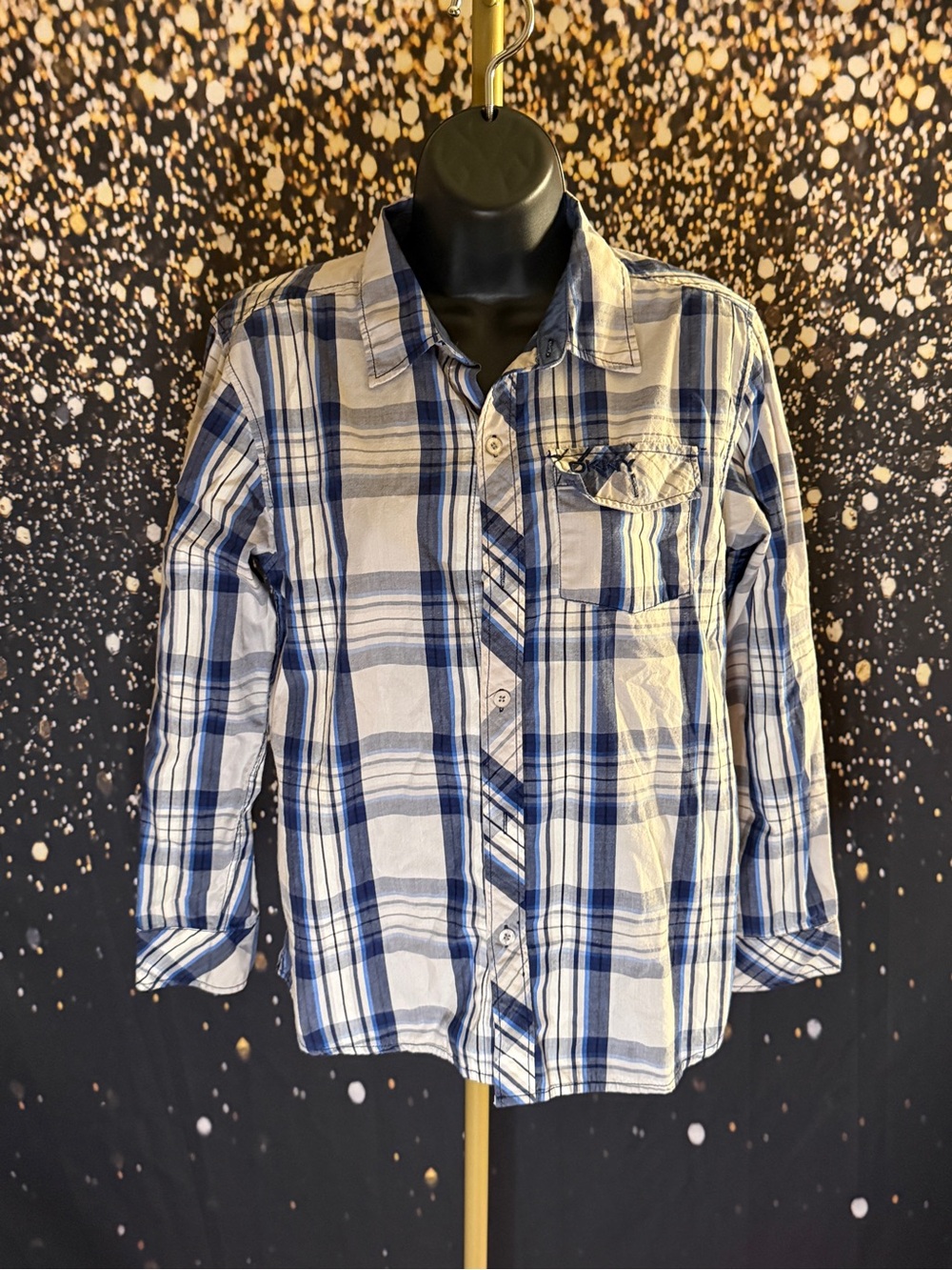 DKNY Blue Plaid Button-Up Shirt